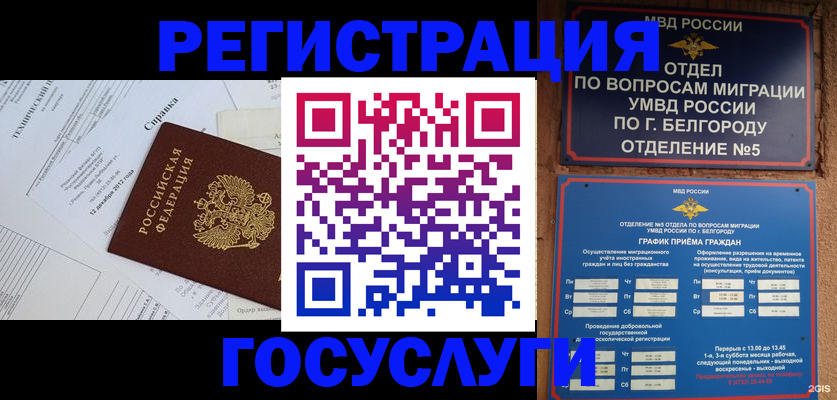 временная прописка в Россоши